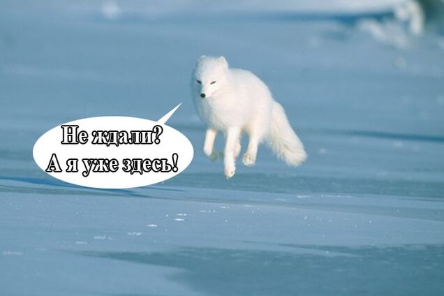 Даже танки не спасают: в России промышленный сектор вновь показал пике