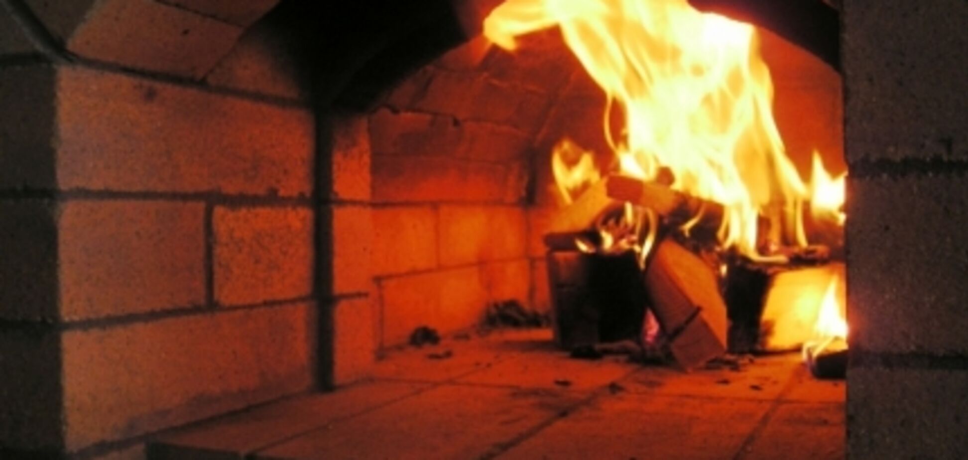 'Натуральний шок': у Казахстані бабуся спалила онучку в печі