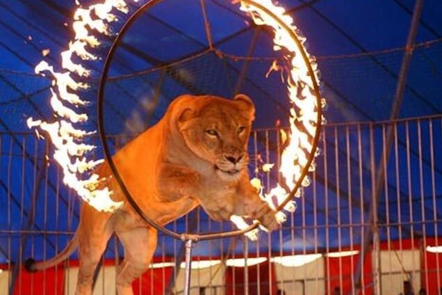 Цирк-шапито