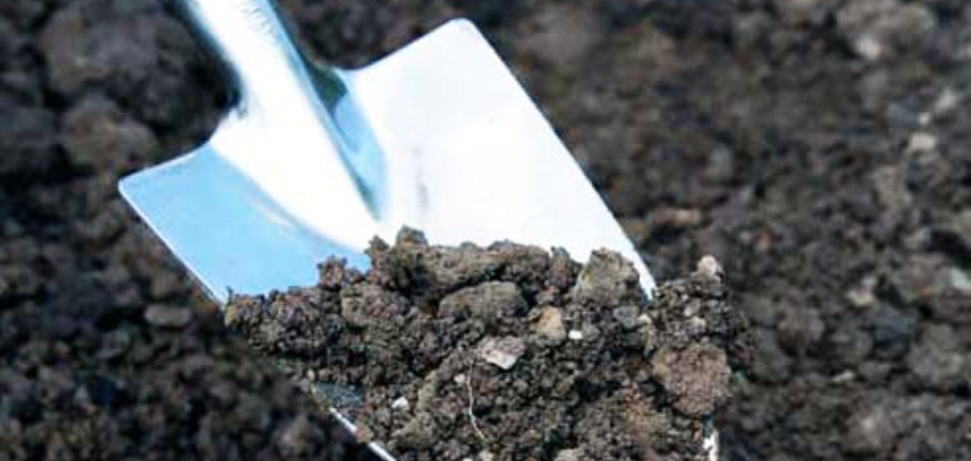 Прокуратура Запорожской области заинтересовалась фактом выдачи земли бойцам АТО