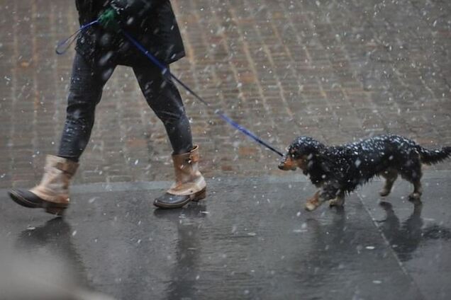 Мокрый снег