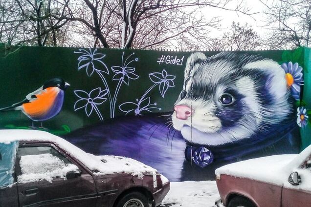 мурал, хорек