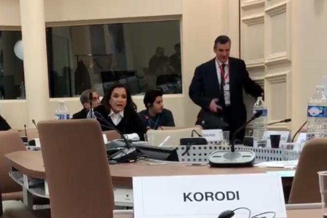 'Мимо проходил': с заседания ПАСЕ выгнали представителя Госдумы