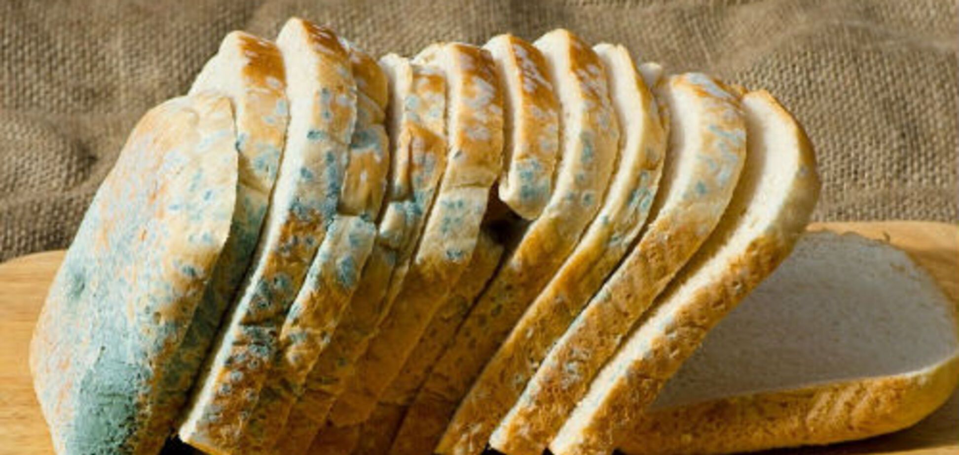 Хлеб с плесенью: ученые рассказали, можно ли его обрезать и есть