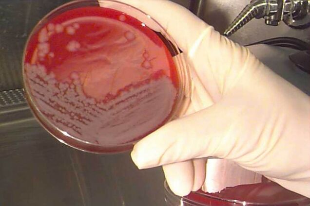 Украинцы выезжают в Европу, чтобы сделать прививку от смертельной инфекции