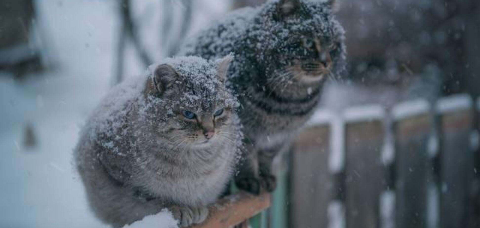 Мокрый снег в Украине