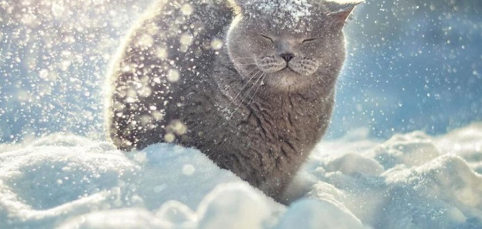 Метель в Украине