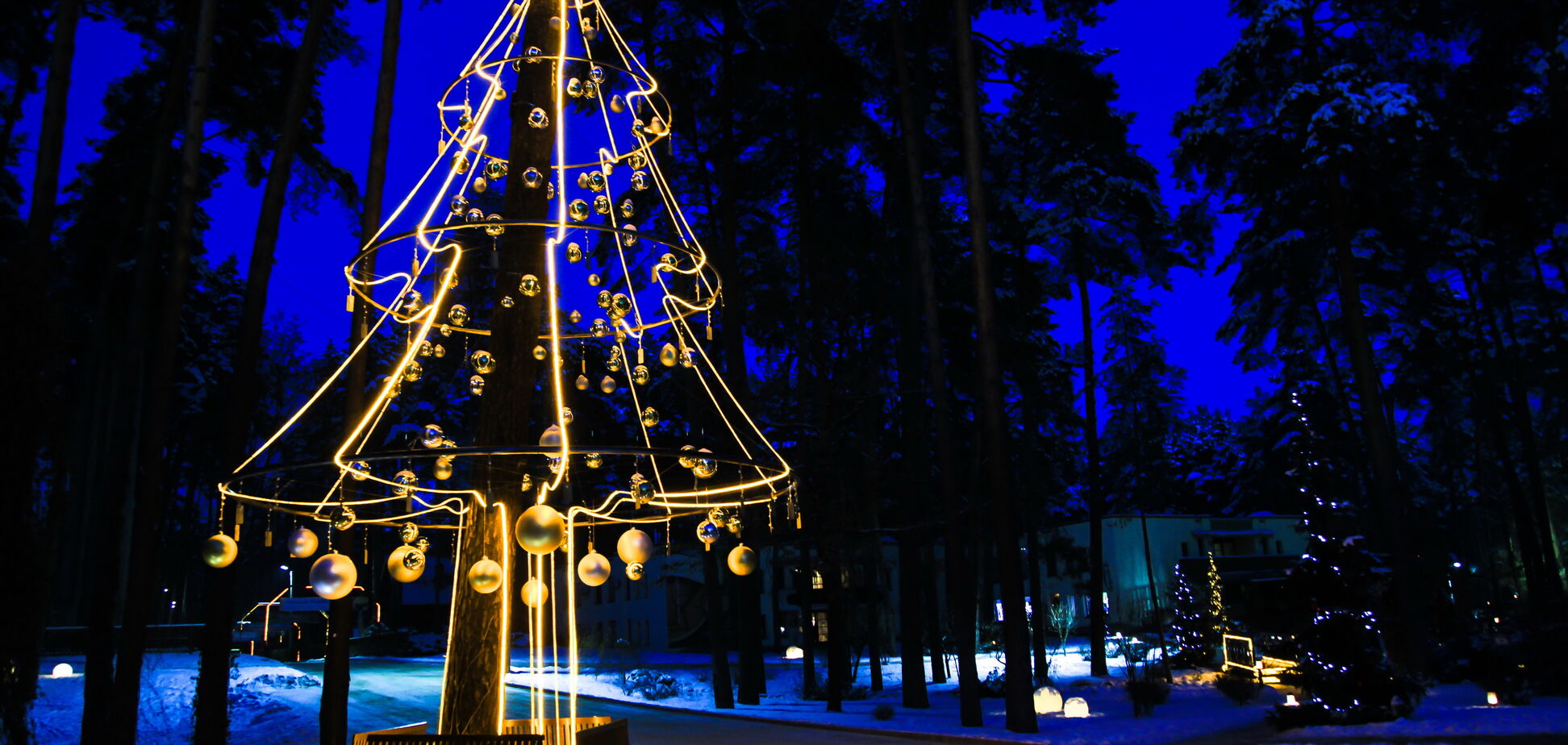 Погода на Новый год: Гидрометцентр озвучил предварительный прогноз