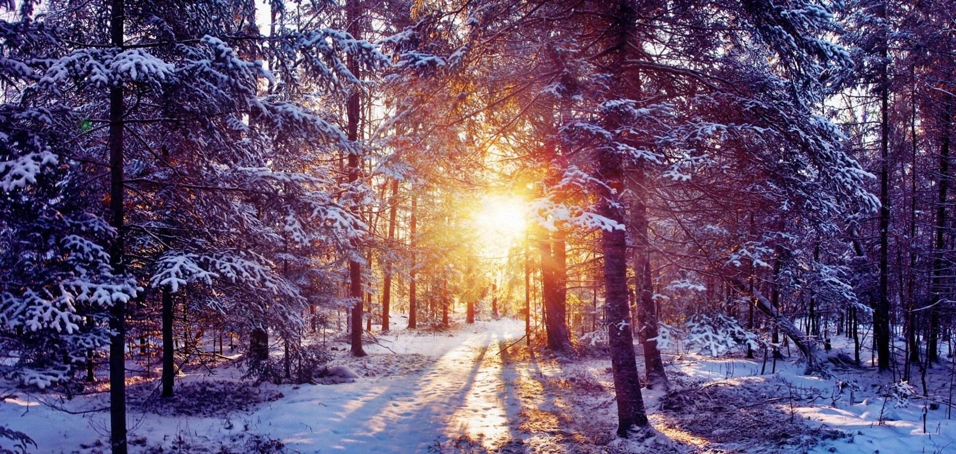 В Україну йдуть страшні морози? Гідрометцентр прояснив ситуацію