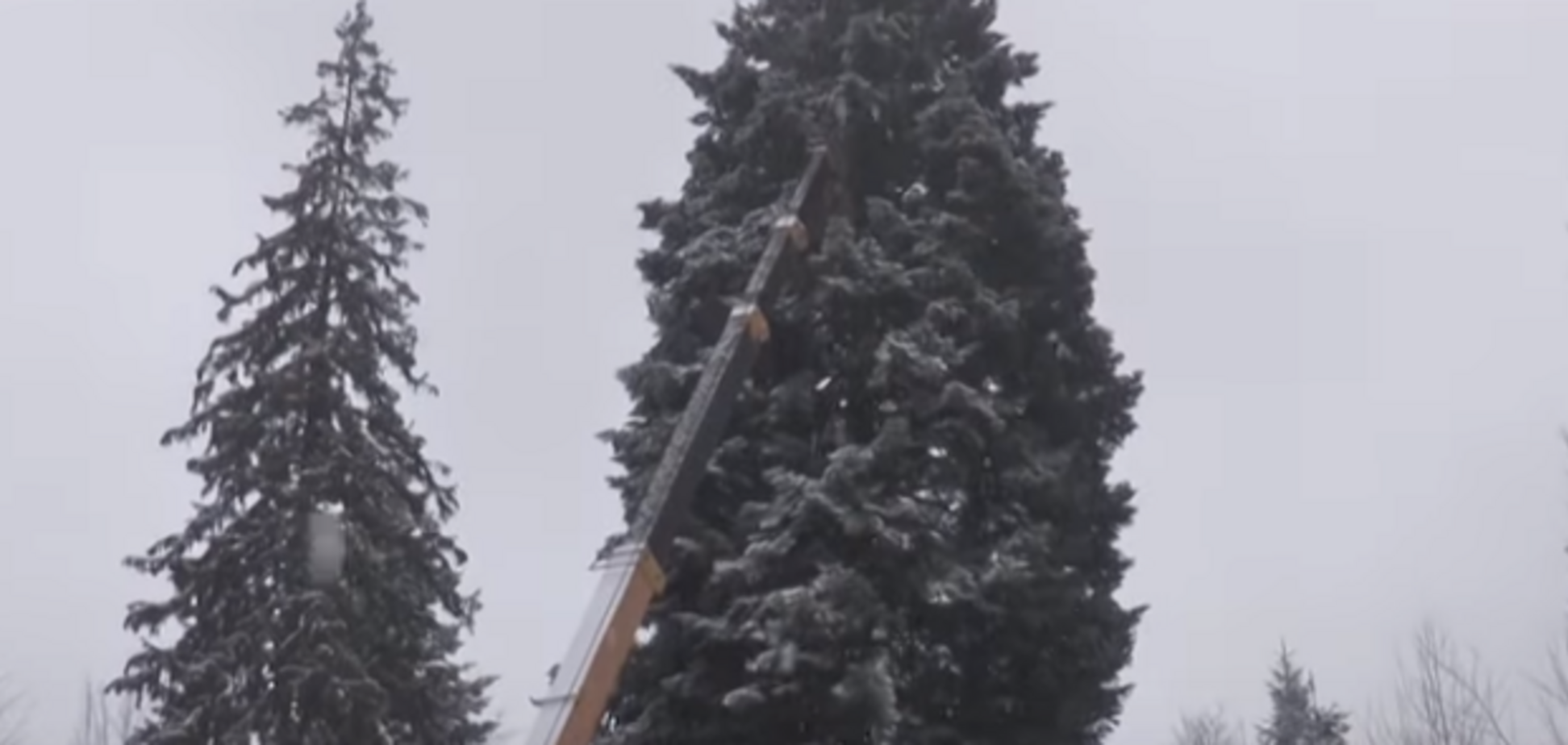Новый год-2018: появилось первое видео с главной елкой Украины