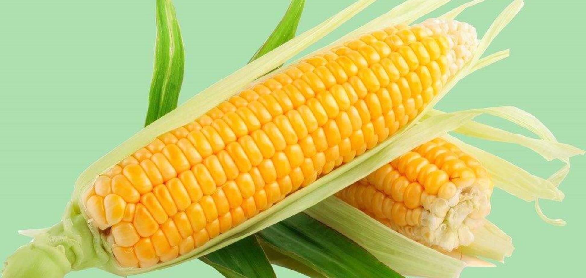 Шокирующая правда о кукурузе: шесть причин не есть этот продукт