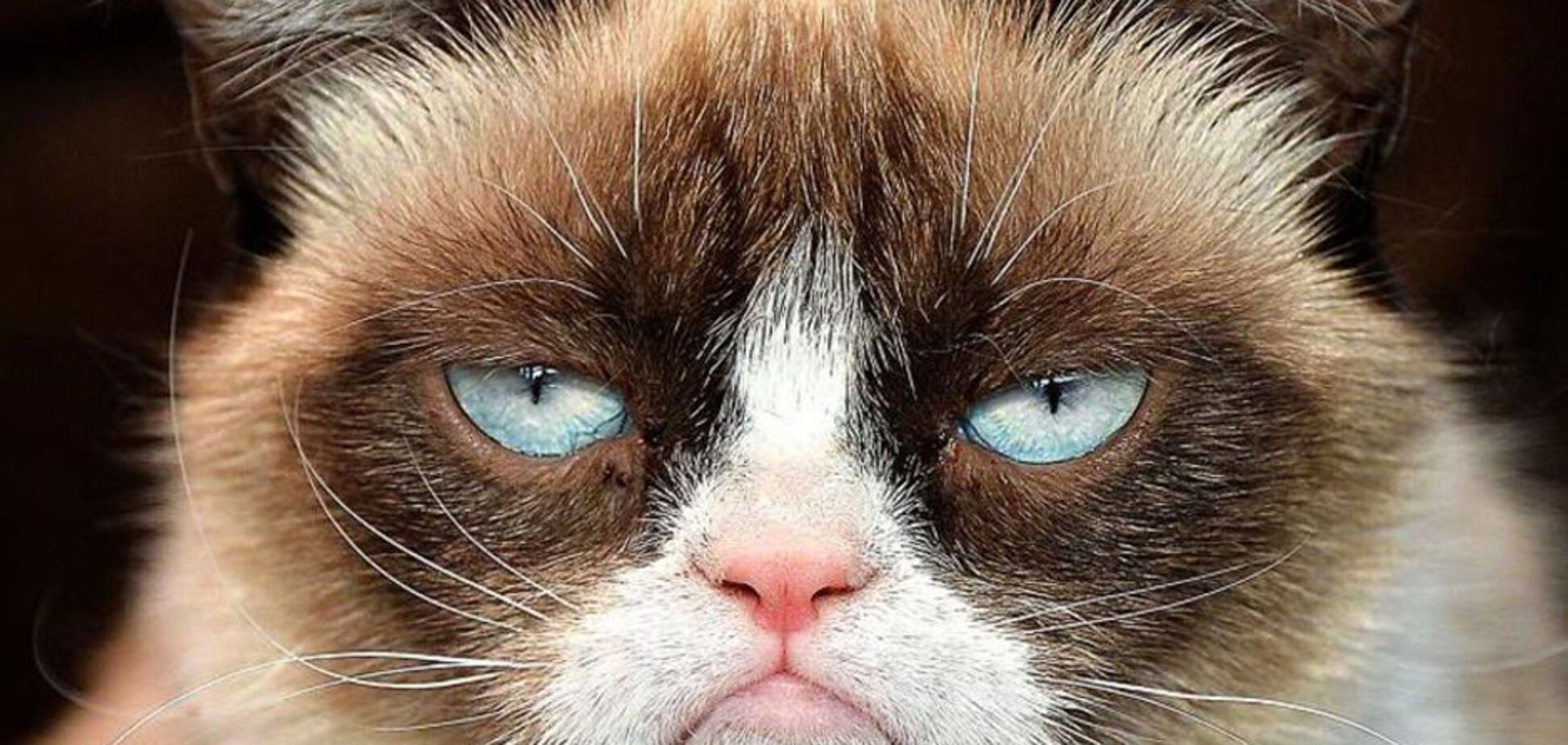 Анекдоти за 26 грудня: топ кращих жартів дня