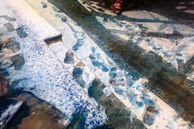 'Кажется, смурфики': в Санкт-Петербурге выпал синий снег