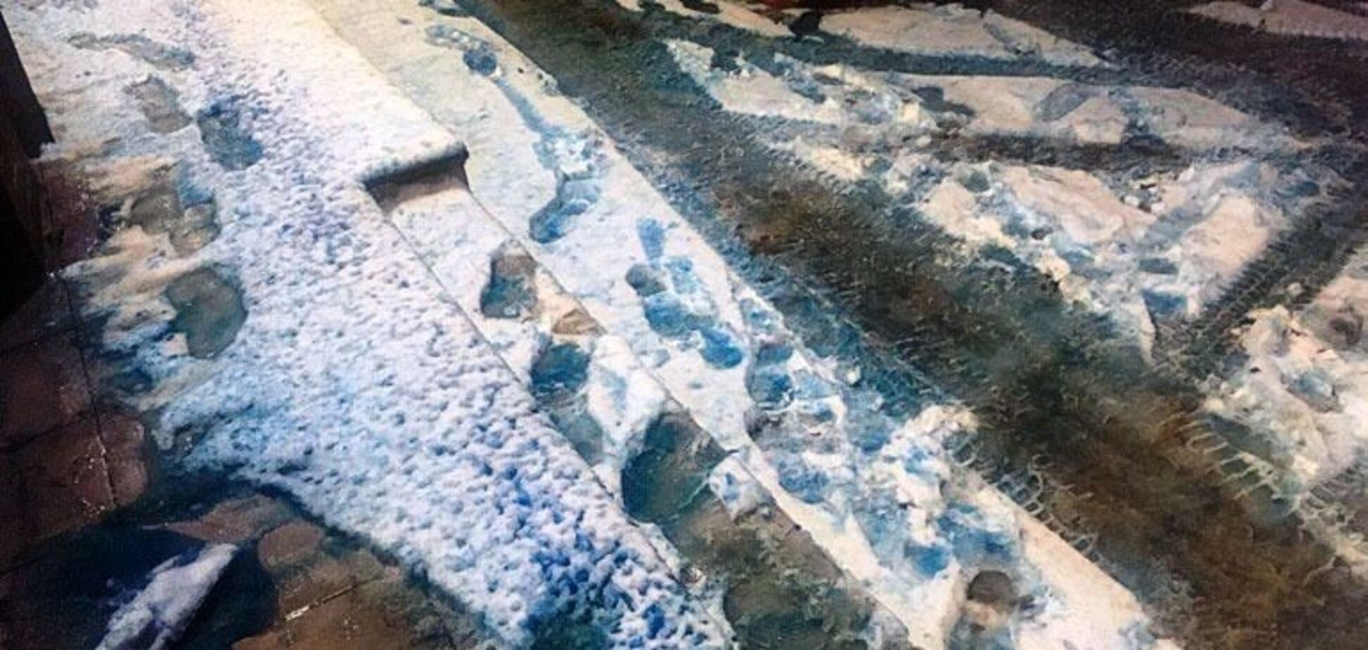 'Здається, смурфики': у Санкт-Петербурзі випав синій сніг