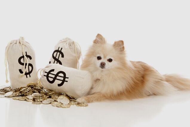 Гривня, бензин, цены: как изменится жизнь украинцев в 2018 году