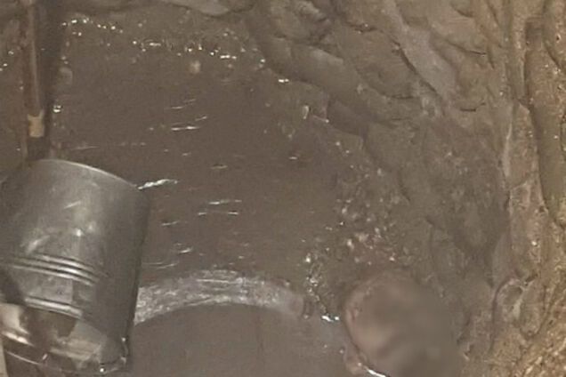 Тіло забетонували: на Закарпатті сталося жахливе вбивство