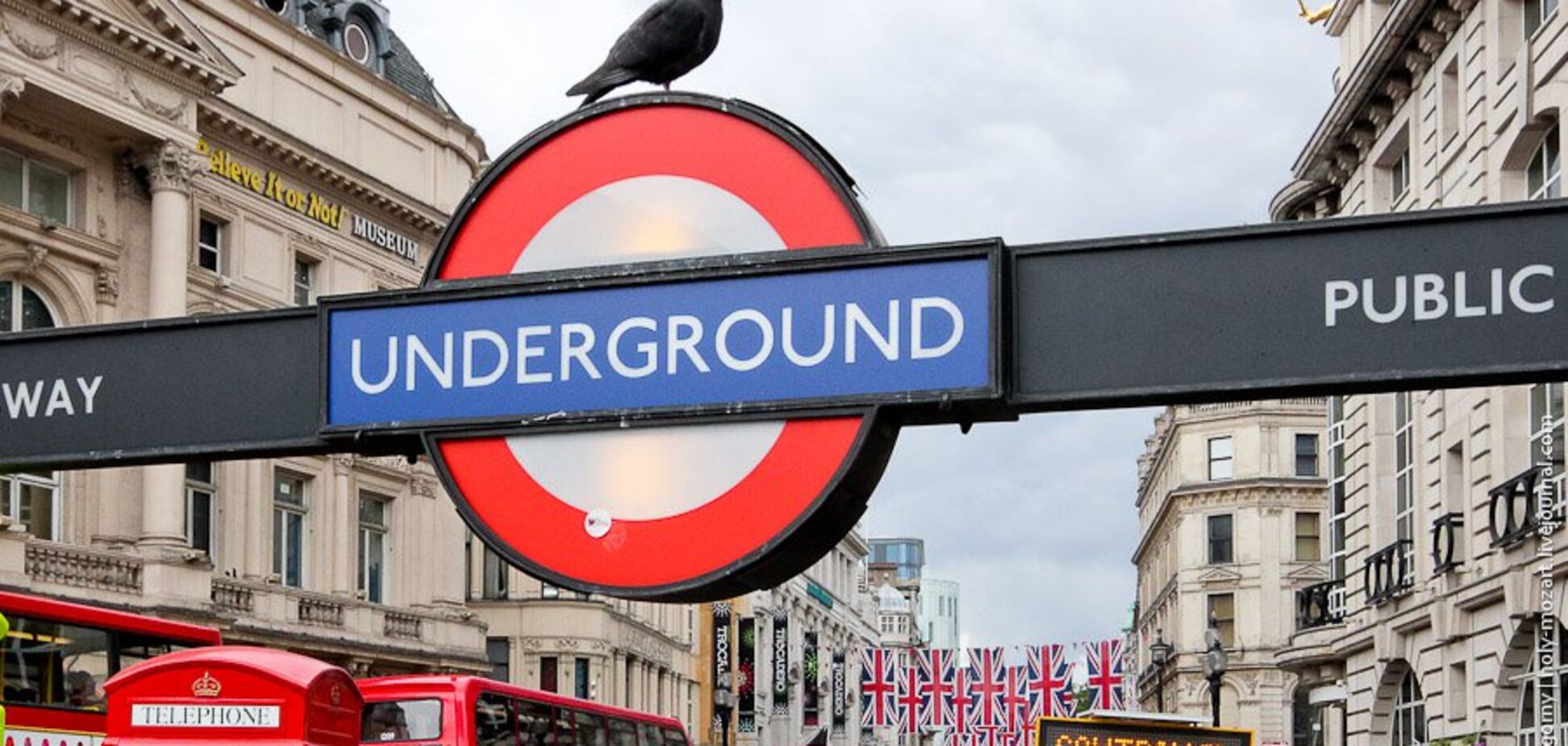 10 января: какой сегодня праздник