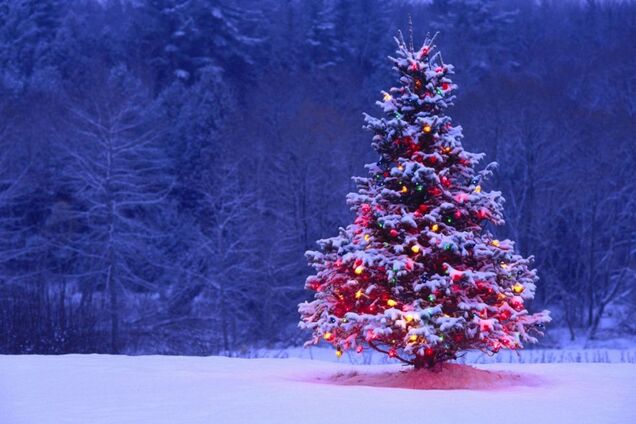 Идеальная елка как несуществующий идеал