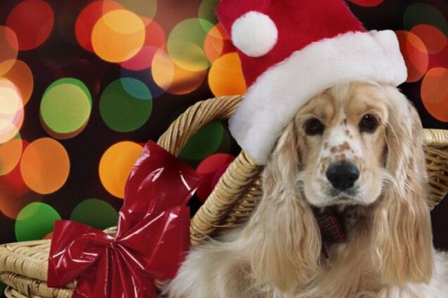 Время: чем больше понимаешь его ценность, тем лучше понимаешь, как быстро оно летит