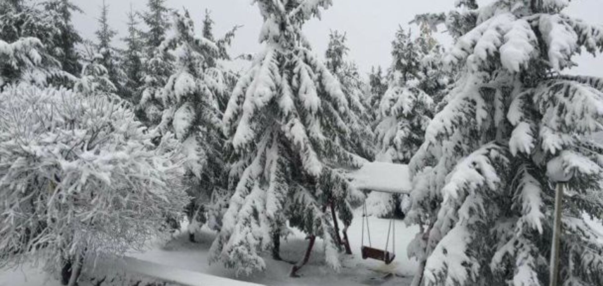 'Февраль будет сложным': народный синоптик дал прогноз погоды на зиму в Украине