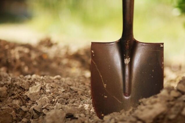 Руководство Госгеокадастра прокомментировало выдачу земли бойцам АТО