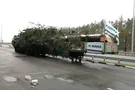 елка