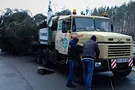 елка