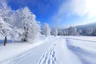 Зима в Украине