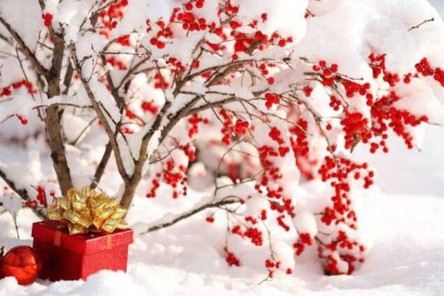 Погода на Новый год-2018: синоптики дали прогноз