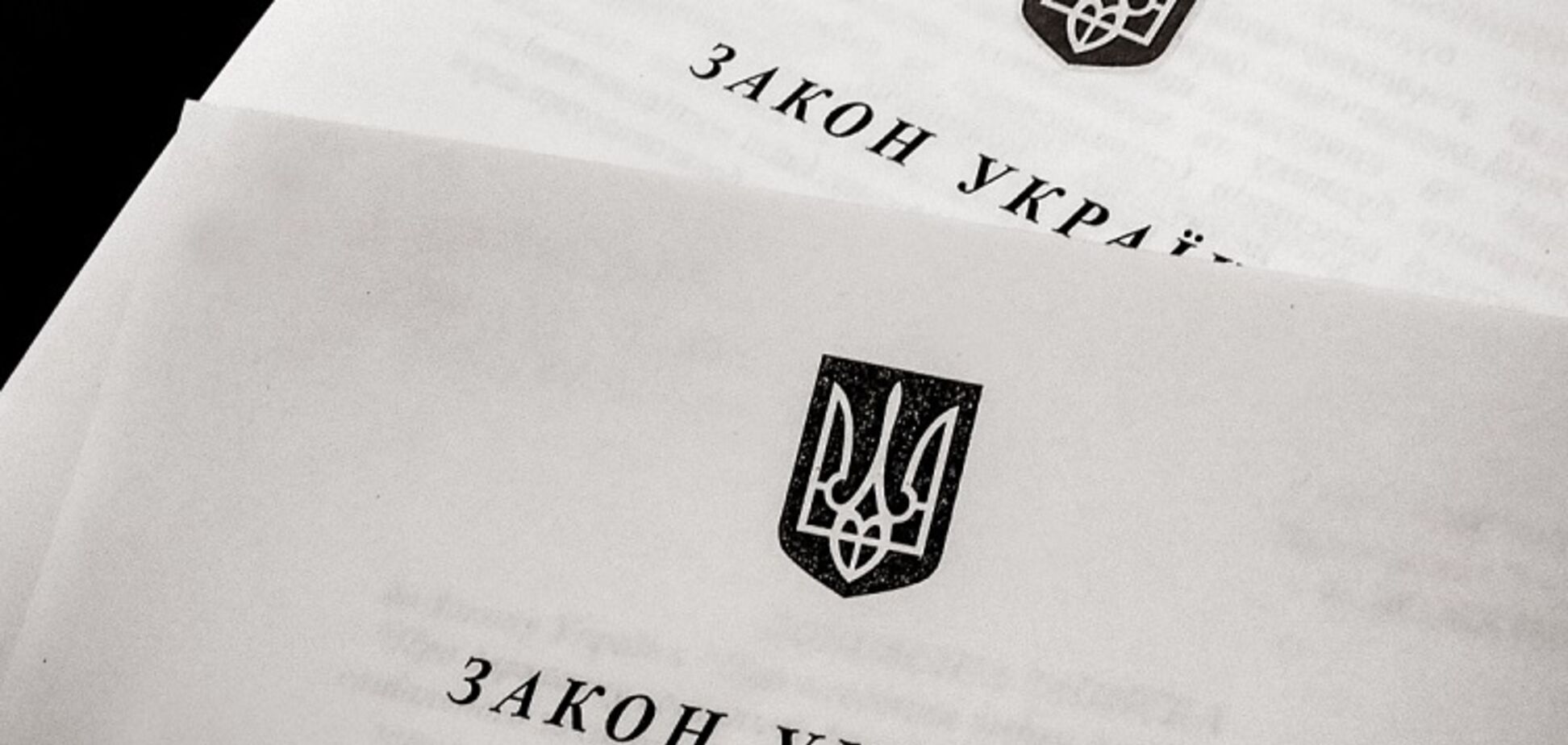 Торопиться с умом: в Евросоюзе ждут от Украины качественных законов