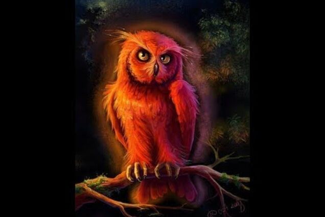 'Красная сова': психолог дала советы, как вывести ребенка из смертельной игры