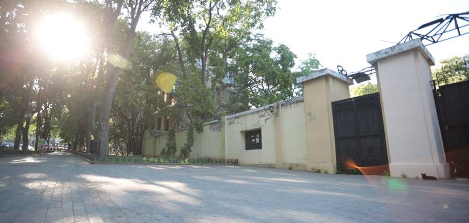 Гибридные одесские войны