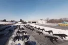 флешмоб