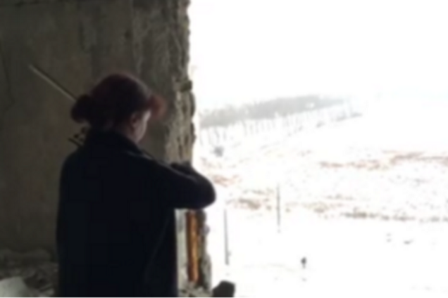 Скрипалька