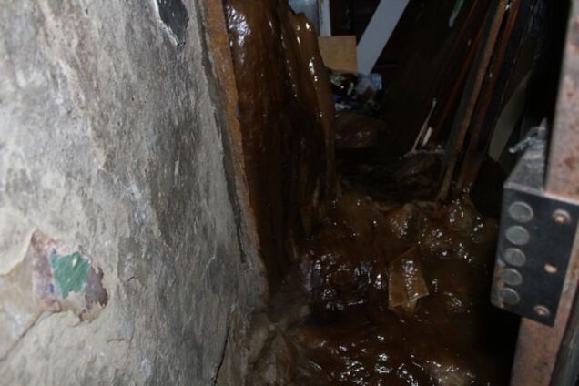 Сталагмит из фекалий