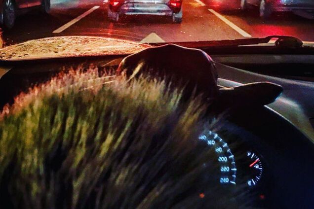 Захарова за рулем