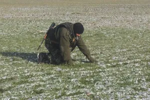 Солдат и поле пшеницы