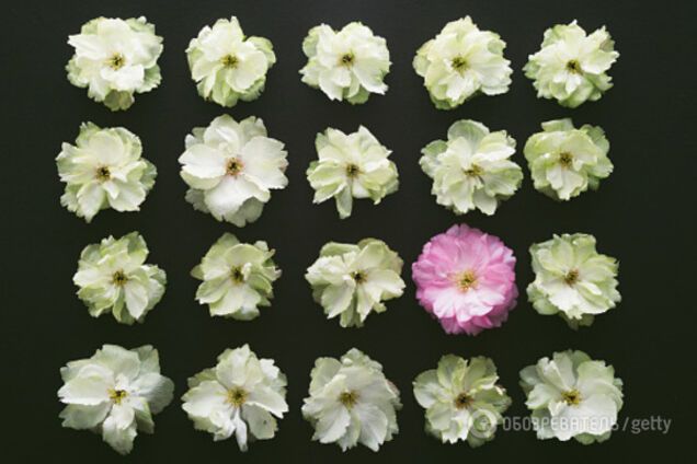 Физика меньшинства