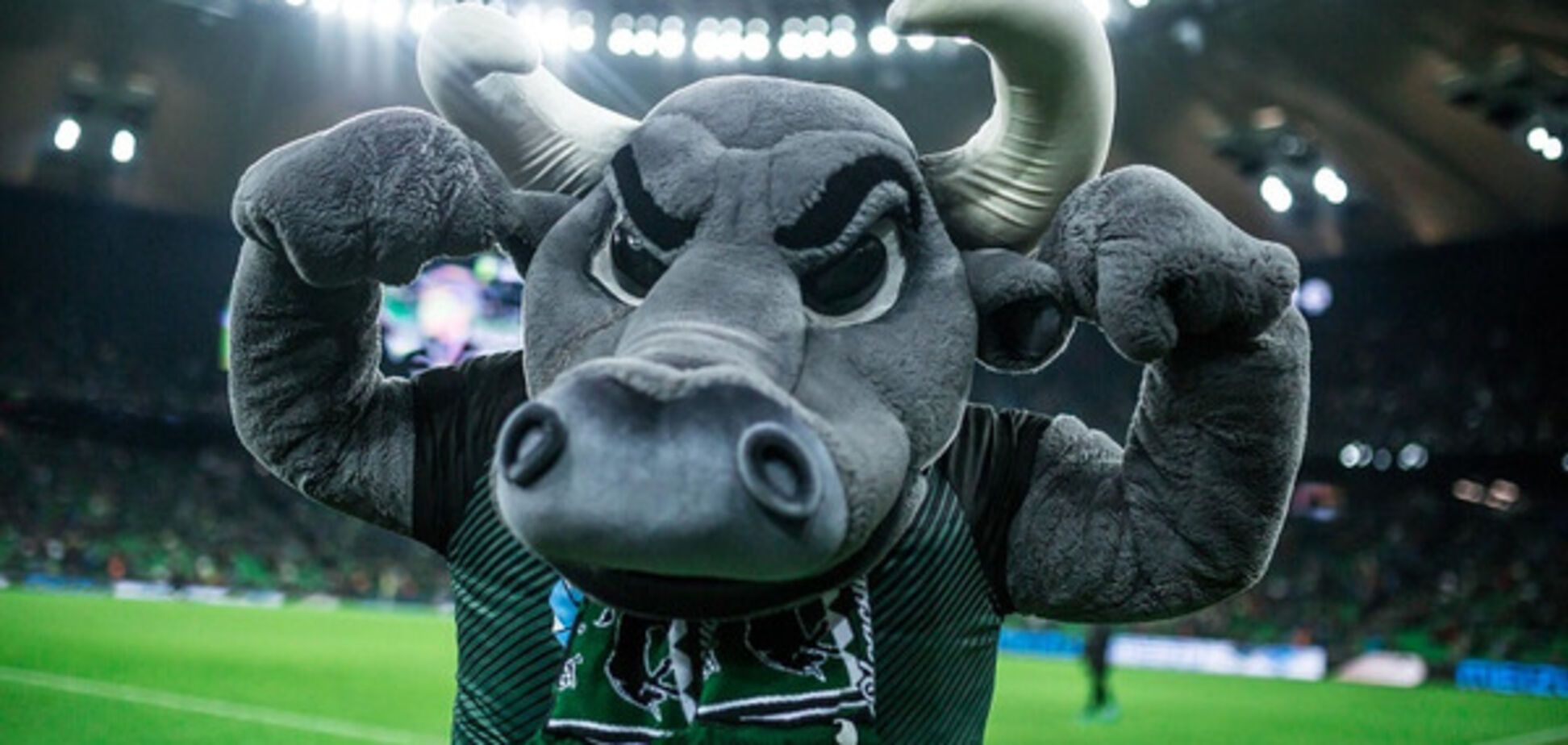 Символ ФК Краснодар