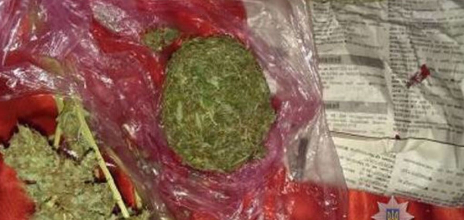 В квартире у запорожца нашли 10 килограмм наркотиков и плантацию конопли (ФОТО)