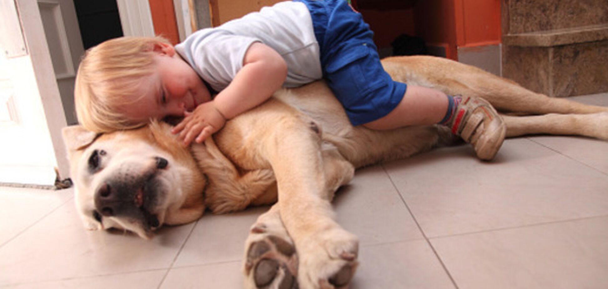 'Вони кращі друзі': дружба хлопчика-аутиста з собакою підкорила соцмережу