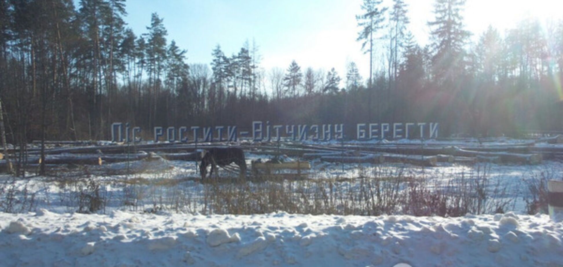 Вырубка леса