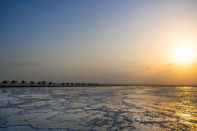 Мировая экономика