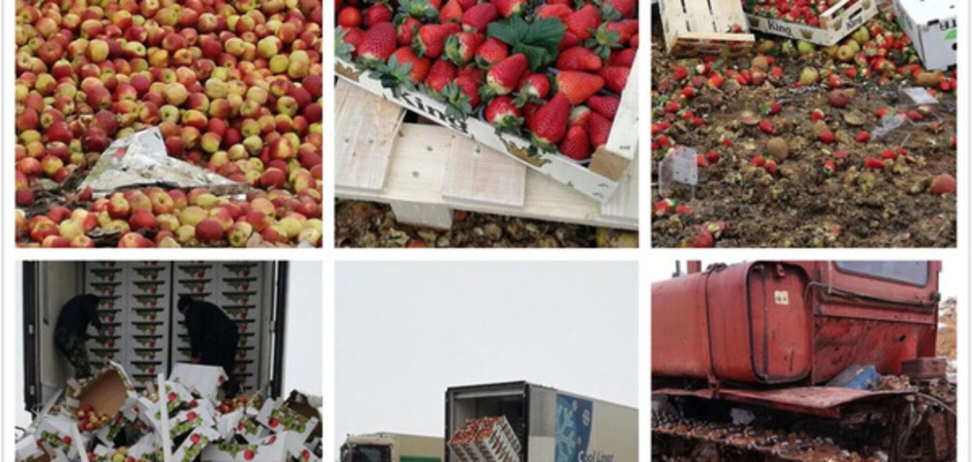 Уничтожение продуктов в России