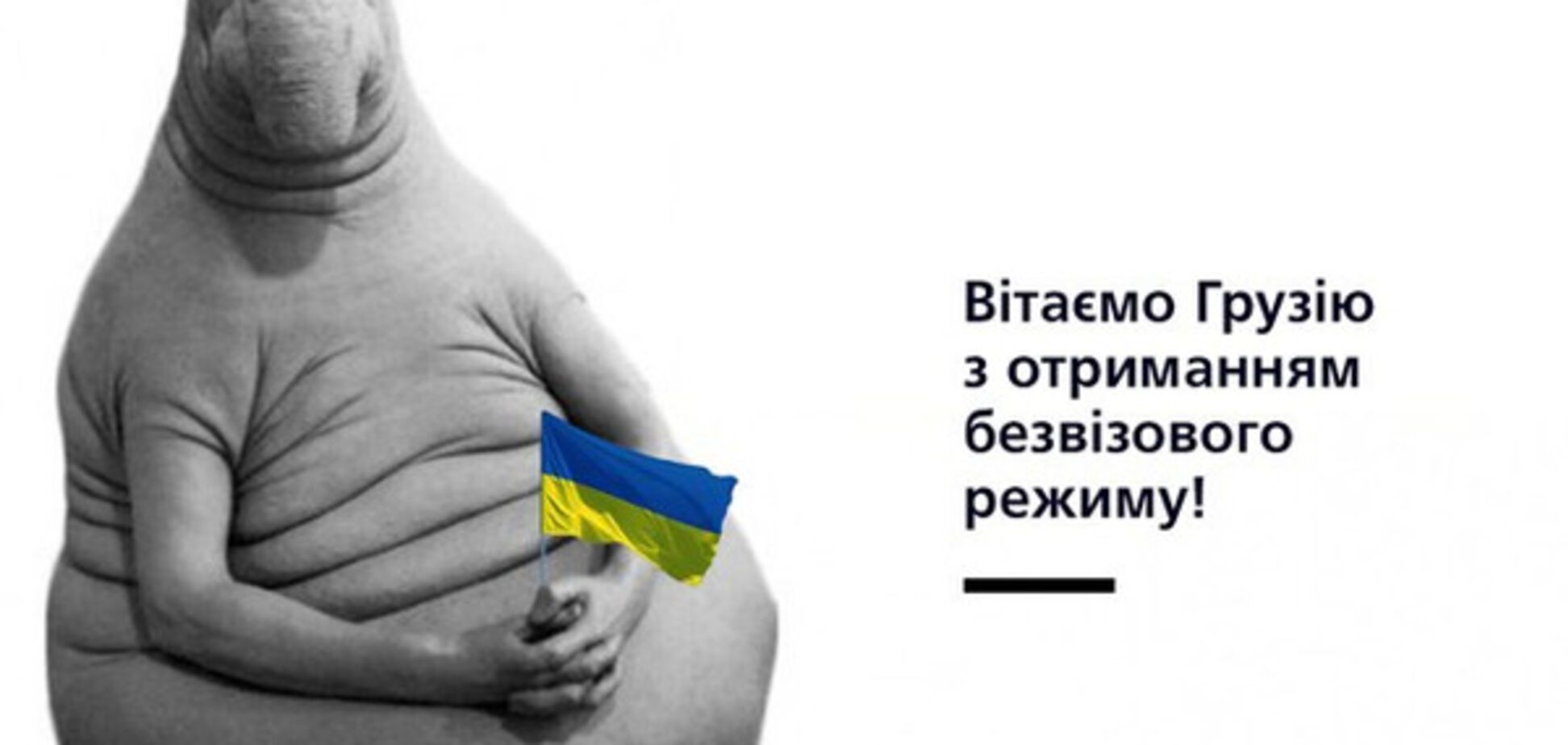 'Дали! Что дали? 26Б дали!' Соцсети отреагировали на безвиз для Грузии