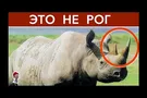 10 вещей, о которых дети врут родителям