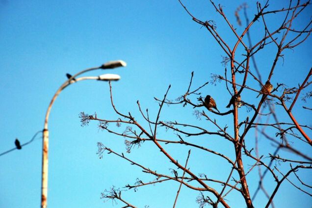 Погода в Україні весна