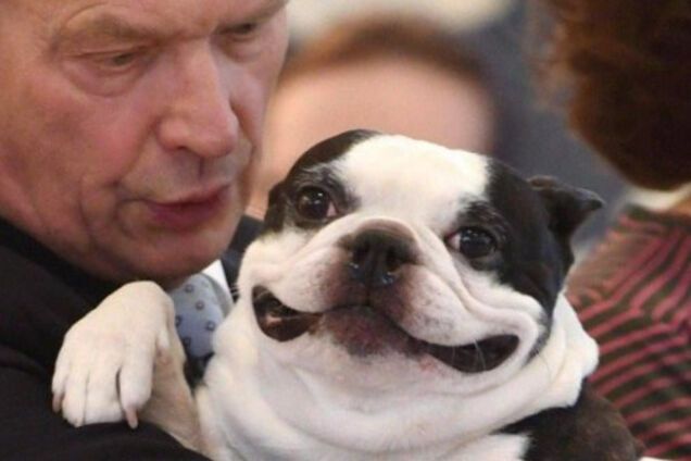 Улыбчивая собака президента Финляндии