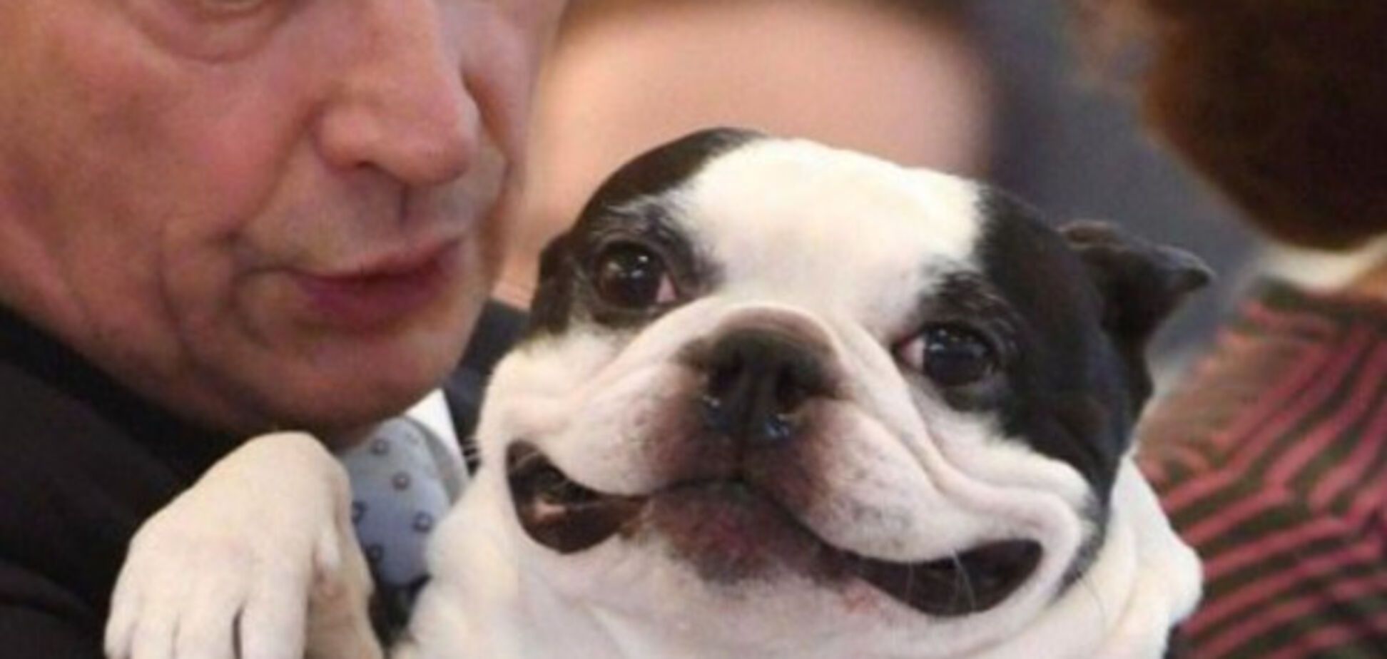 Улыбчивая собака президента Финляндии