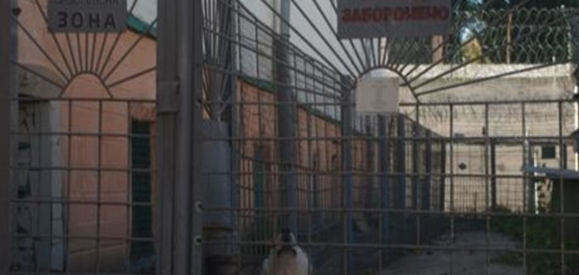 Ревізія 'закону Савченко': що може бути далі